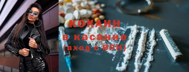 Cocaine Fish Scale  купить наркотики цена  Зея 